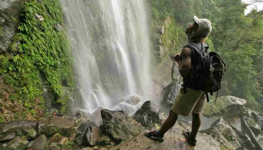 People walking through a Guatamalan forest